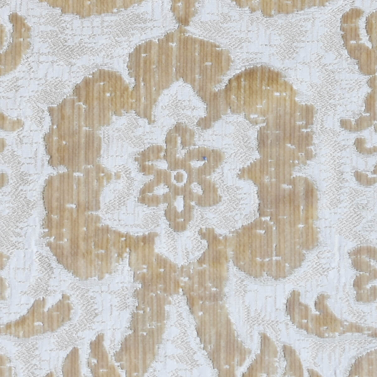 Velluto bacchetta Senatori 082-3970S avorio | Tessiture Bevilacqua