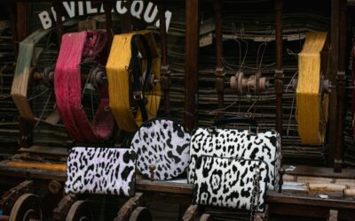 Il re dei velluti animalier: il Leopardo