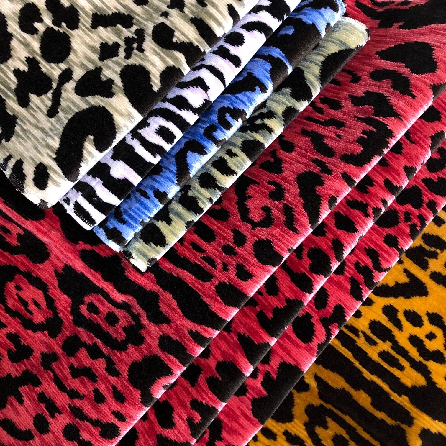 velluto Leopardo varianti colore