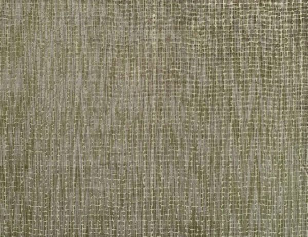 Coccodrillo 3886S Animal Velvet