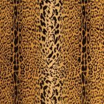 Marrone-giallo-beige